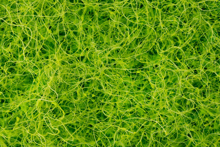 Macro photo of the surface of a blue sponge for washing dishes. Abstract image of a macro spongeの写真素材