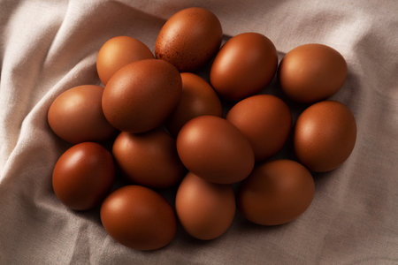 Close up image of organic chicken eggs and bread. Organic chicken eggs food ingredients concept.の写真素材