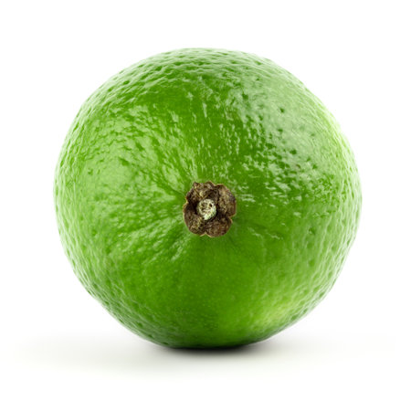 Lime isolated on white background. front view. close up.の写真素材