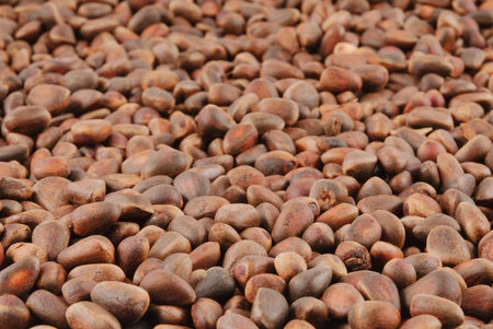 Matt brown pine nuts like pebbles lying in the background