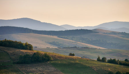 Carpathian Evening