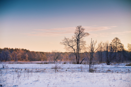 Winter dawn in Belarus. Sunrise in winter morning. Snow landscapeの写真素材