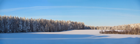 Winter sunny day in Belarus. Panorama. Snow landscapeの写真素材