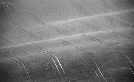 Czech Moravia hills. Agriculture . Arable lands in spring.