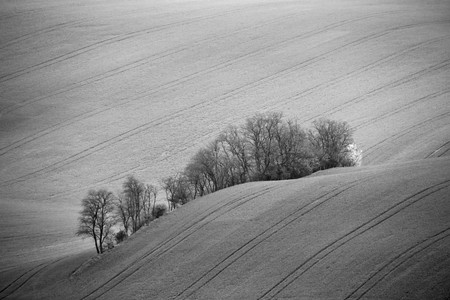 Czech Moravia hills. Agriculture . Arable lands in springの写真素材