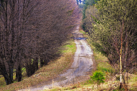 Lone country road in Carpathian mountains. Springの写真素材