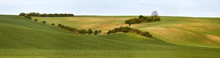 Hunting box in Green spring hills. Arable lands in Czech Moravia. Aprilの写真素材