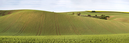 Green spring hills. Arable lands in Czech Moravia. April