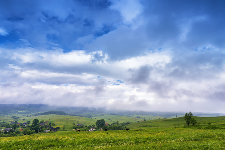 Clouds and fog after spring rainの写真素材