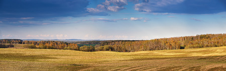 Sunny spring fields in the evening. Belarusの写真素材