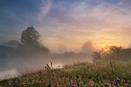 Misty morning on the river. Summer in Belarusの写真素材