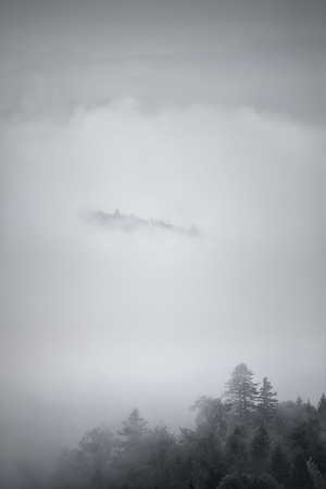 Autumn foggy Carpathian mountain scene. Fall rain and mistの写真素材