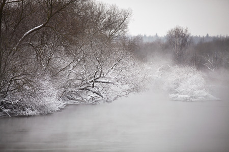 Snow and frost on the trees and bushes over misty river. Overcast snowy weather. の写真素材