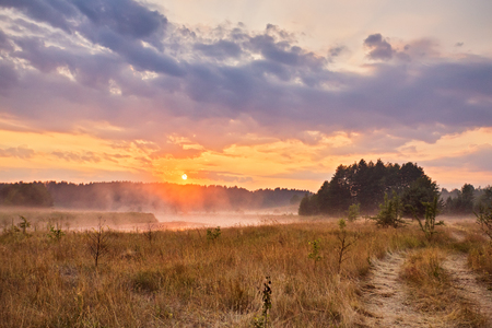 Misty summer sunrise. Foggy river in the morning. Colorful summer morning. Dirt road at summer morning riverbankの写真素材
