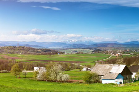 Spring fields and orchard blossom on foothills. Sunny green spring landscape. Spring fields and blooming trees. Village and town behind foothillsの写真素材