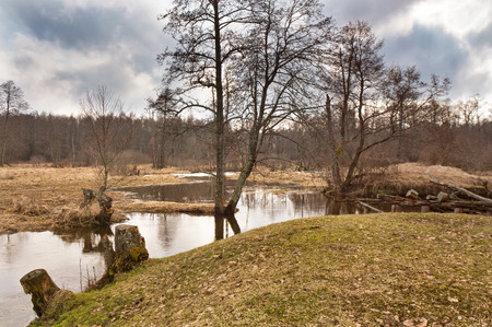 Spring stream. Early spring on small river. Mud season. Cloudy springの写真素材