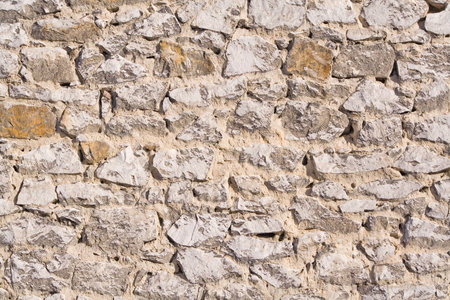 limstone wall background with amonite