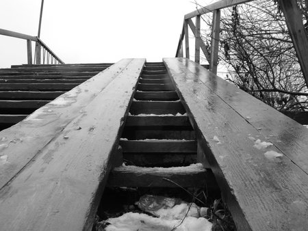 Wooden wet ladder