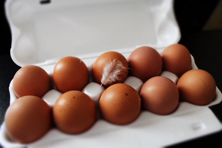 Eggs and feather