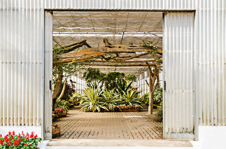 Entrance of greenhouse garden with a variety of plants and flowersの写真素材