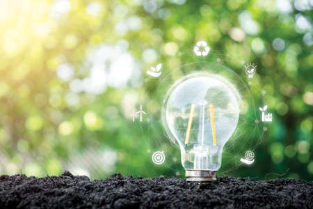 Businessman hand holding light bulbs and new ideas of business with innovative technology network connection.の写真素材
