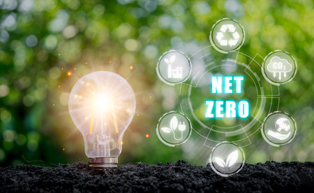 Net zero and carbon neutral concept, Light bulb on soil with net zero icon on vitual screen.の写真素材