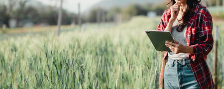 Agronomist in a red checkered shirt uses a tablet to analyze crop development in a lush green field, blending tradition with modern technology.の写真素材