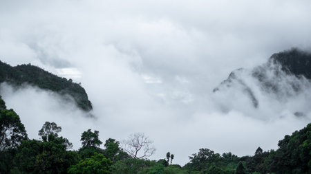 A tranquil scene of mountains enveloped in fog, surrounded by lush greenery, creating a peaceful and mysterious atmosphere.の写真素材
