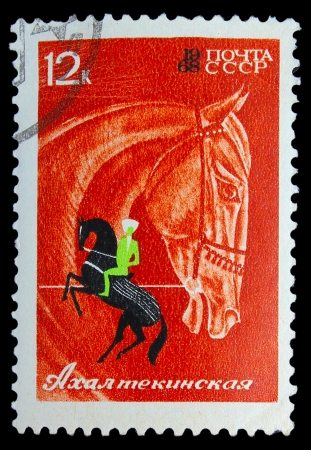USSR - CIRCA 1968: A stamp printed in USSR, horseback riding, equestrian sport, Akhal-Teke horses, circa 1968の写真素材