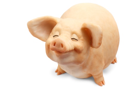 pig pig smiling souvenir isolated on white backgroundの写真素材