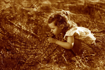 little baby girl is studying touching look at a yellow flower in