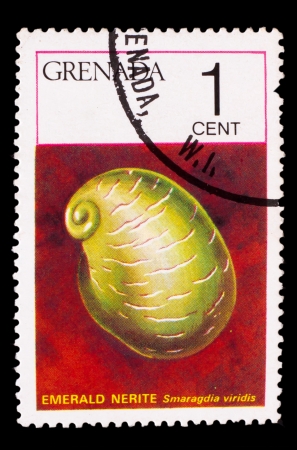 GRENADA - CIRCA 1978: A Stamp printed in GRENADA, Emerald sea shell, inscription "emerald nerite , smaragdia viridis" , circa 1978の写真素材