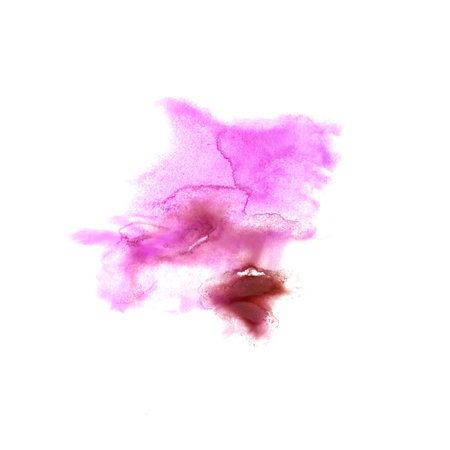 Blot divorce Pink, cherry illustration artist of handwork is isolated on white backgroundの写真素材