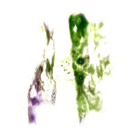 macro spot  purple, green blotch texture isolated on white textureの写真素材