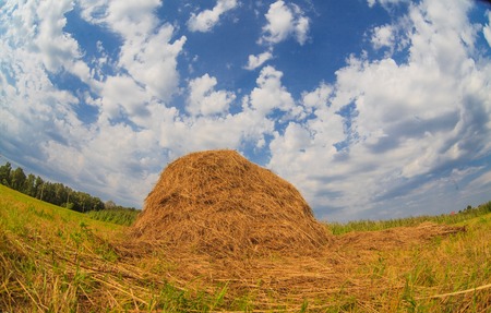 haystack in a field against   blue sky summer nature landscapeの写真素材