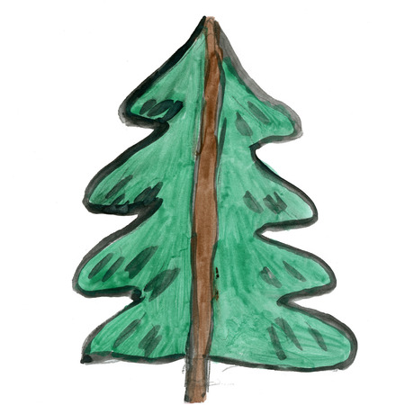 spruce isolated on white background cartoon watercolorの写真素材
