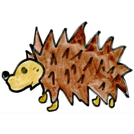 cartoon a hedgehog isolated on  white backgroundの写真素材