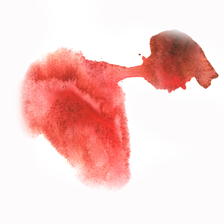 ink splatter watercolour dye liquid watercolor macro red spot blotch texture isolated on white backgroundの写真素材