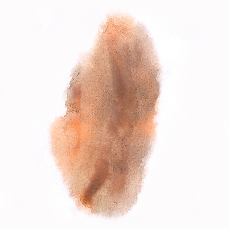 macro  spot blotch texture brown isolated on a white backgroundの写真素材