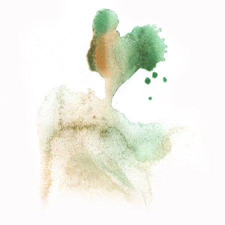 macro  spot green blotch texture isolated on a white backgroundの写真素材