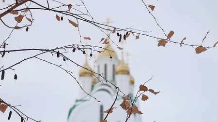 birch branch in the background Church of Russian winterの写真素材