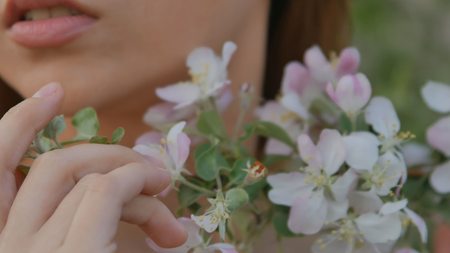 girl close up apple flowers hand strokesの写真素材