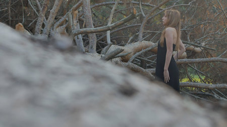 girl in a dress from a fallen treeの写真素材