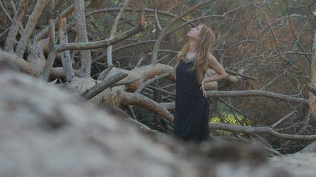 girl in a dress from a fallen treeの写真素材