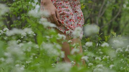 nice legs walking on a grass the girl in the foregroundの写真素材