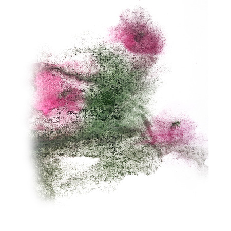 paint  splash  ink marsh, pink blot and white abstract art brushes isolatedの写真素材