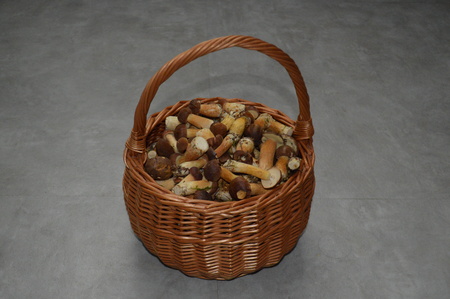 small mushrooms in the basketの写真素材