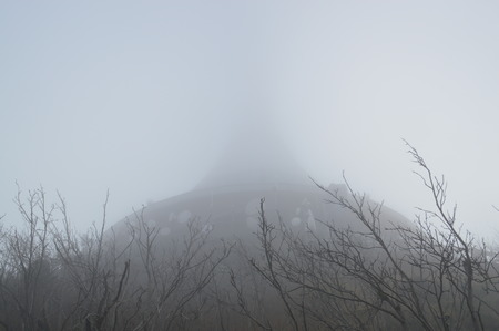 Jested in the fogの写真素材