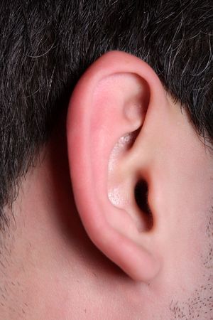 Earの写真素材