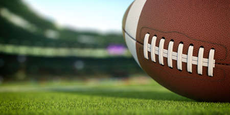 American football ball on grass of football arenaの写真素材